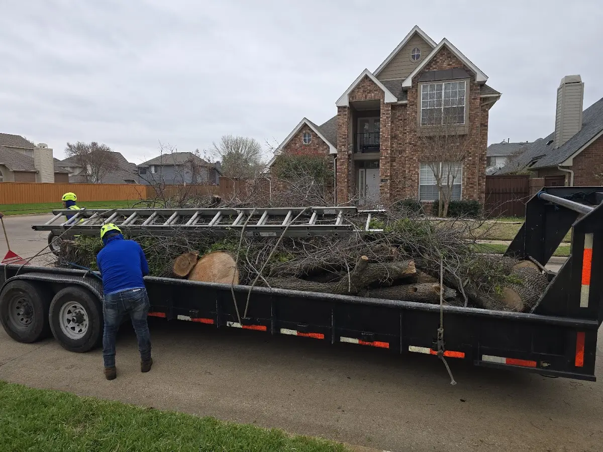 Expert Tree Removal with proper safety equipment in Bondsville